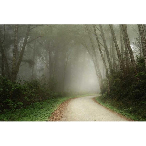 Follow the Light Black Modern Wood Framed Art Print by Murdock, Ramona