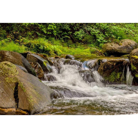 Mountain Stream Black Modern Wood Framed Art Print with Double Matting by Murdock, Ramona