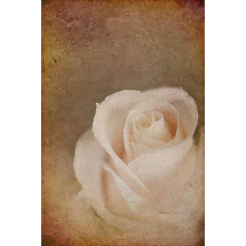 Faded Beauty White Modern Wood Framed Art Print by Murdock, Ramona
