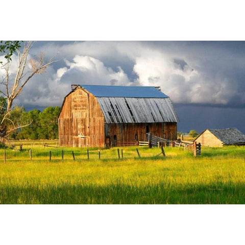 After the Storm I Gold Ornate Wood Framed Art Print with Double Matting by Murdock, Ramona