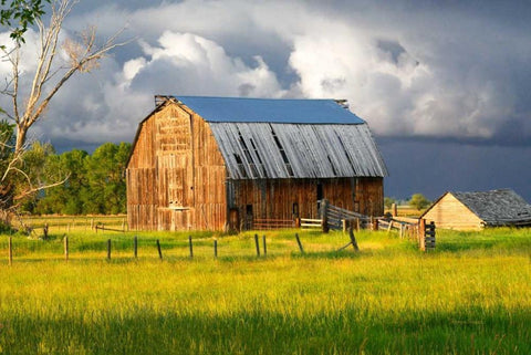 After the Storm I White Modern Wood Framed Art Print with Double Matting by Murdock, Ramona