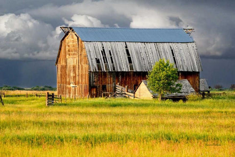 After the Storm II Black Ornate Wood Framed Art Print with Double Matting by Murdock, Ramona