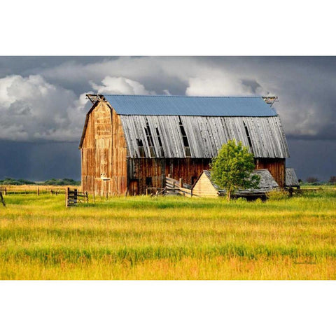 After the Storm II White Modern Wood Framed Art Print by Murdock, Ramona