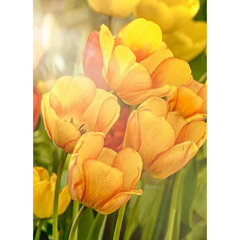 Sunshine Tulips Gold Ornate Wood Framed Art Print with Double Matting by Murdock, Ramona