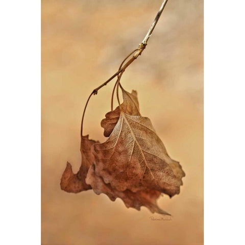 So Last Season Black Modern Wood Framed Art Print with Double Matting by Murdock, Ramona