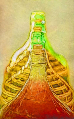 Gin Jugs II Black Ornate Wood Framed Art Print with Double Matting by Murdock, Ramona