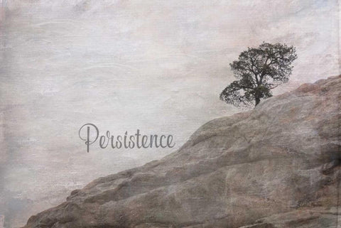 Persistence White Modern Wood Framed Art Print with Double Matting by Murdock, Ramona