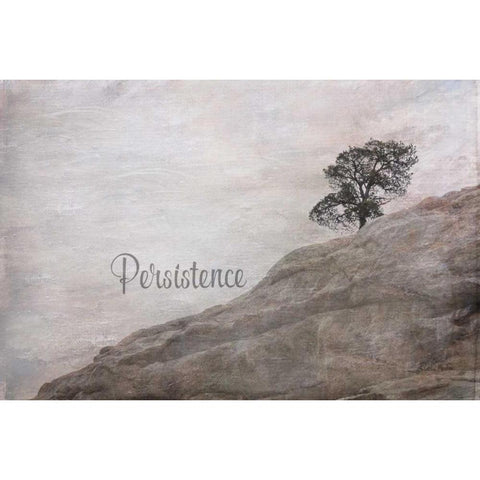 Persistence White Modern Wood Framed Art Print by Murdock, Ramona
