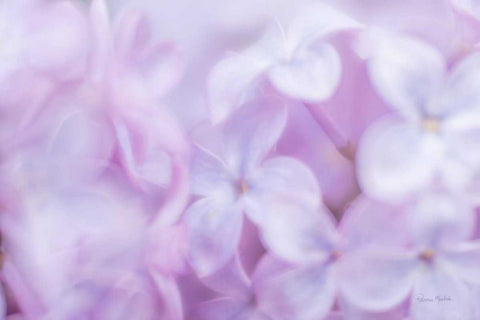 Amidst the Lilacs White Modern Wood Framed Art Print with Double Matting by Murdock, Ramona