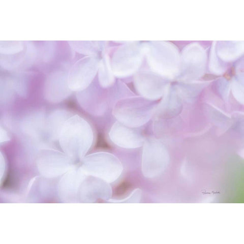 So Soft Lilac Black Modern Wood Framed Art Print by Murdock, Ramona