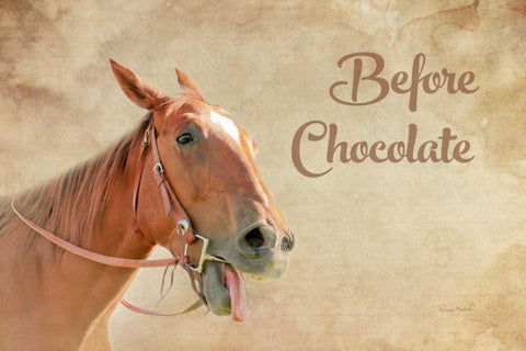 Before Chocolate Black Ornate Wood Framed Art Print with Double Matting by Murdock, Ramona