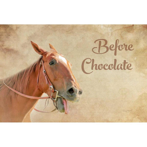Before Chocolate Black Modern Wood Framed Art Print by Murdock, Ramona