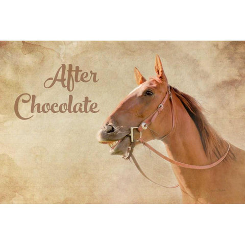 After Chocolate Black Modern Wood Framed Art Print with Double Matting by Murdock, Ramona