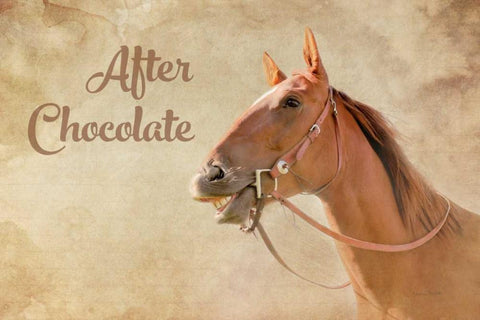 After Chocolate Black Ornate Wood Framed Art Print with Double Matting by Murdock, Ramona