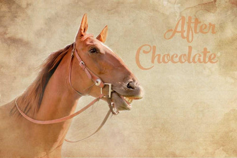 After Chocolate II White Modern Wood Framed Art Print with Double Matting by Murdock, Ramona