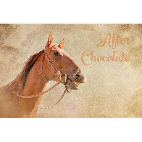 After Chocolate II Black Modern Wood Framed Art Print with Double Matting by Murdock, Ramona