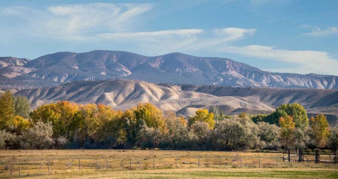 Velvet Hills II Black Ornate Wood Framed Art Print with Double Matting by Murdock, Ramona