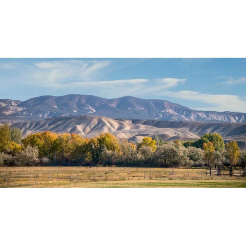 Velvet Hills II Black Modern Wood Framed Art Print by Murdock, Ramona