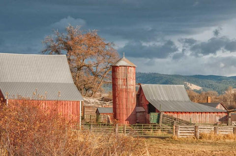 Vintage Red Barn Black Ornate Wood Framed Art Print with Double Matting by Murdock, Ramona