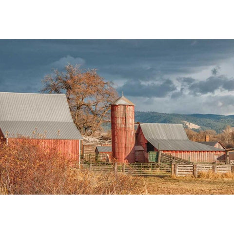 Vintage Red Barn Gold Ornate Wood Framed Art Print with Double Matting by Murdock, Ramona
