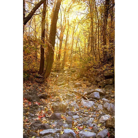 Solitude I Gold Ornate Wood Framed Art Print with Double Matting by Murdock, Ramona