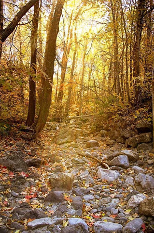 Solitude I White Modern Wood Framed Art Print with Double Matting by Murdock, Ramona