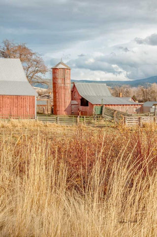Red Silo Barn White Modern Wood Framed Art Print with Double Matting by Murdock, Ramona