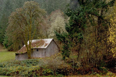 Old Shed White Modern Wood Framed Art Print with Double Matting by Murdock, Ramona