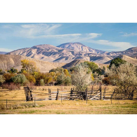 Old Fence White Modern Wood Framed Art Print by Murdock, Ramona