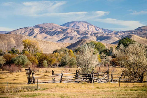 Old Fence Black Ornate Wood Framed Art Print with Double Matting by Murdock, Ramona