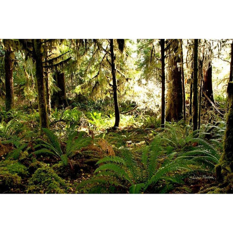 Morning Sunshine Black Modern Wood Framed Art Print with Double Matting by Murdock, Ramona