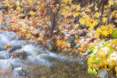 First Snow White Modern Wood Framed Art Print with Double Matting by Murdock, Ramona