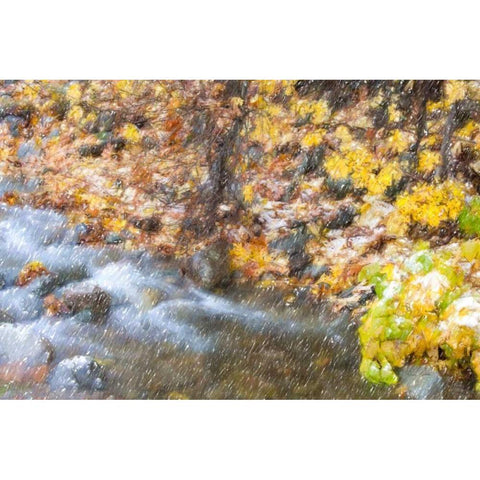 First Snow Gold Ornate Wood Framed Art Print with Double Matting by Murdock, Ramona