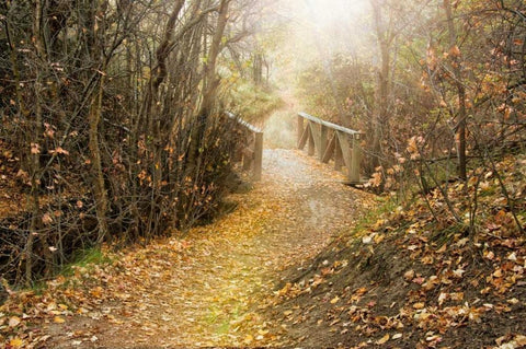 City Creek Bridge White Modern Wood Framed Art Print with Double Matting by Murdock, Ramona