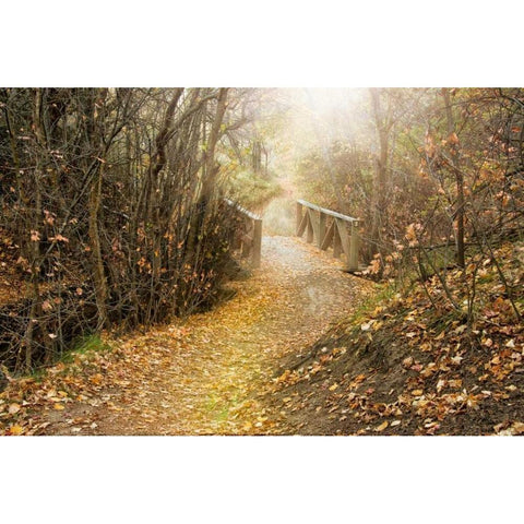 City Creek Bridge Black Modern Wood Framed Art Print with Double Matting by Murdock, Ramona