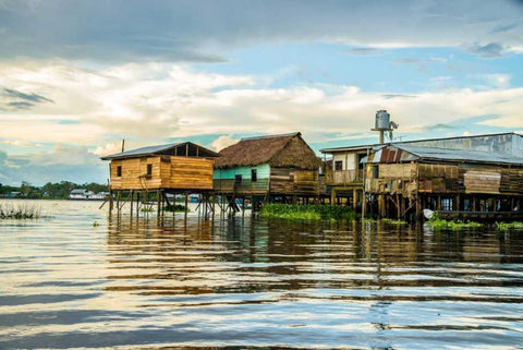 Amazon Beach House Black Ornate Wood Framed Art Print with Double Matting by Murdock, Ramona