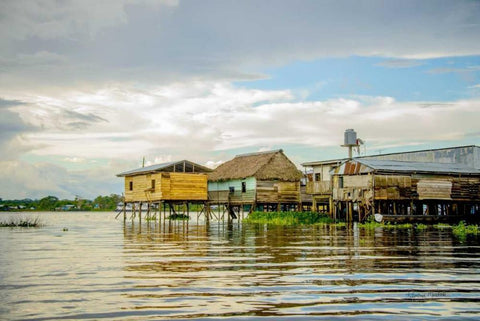 Amazon Beach House II Black Ornate Wood Framed Art Print with Double Matting by Murdock, Ramona