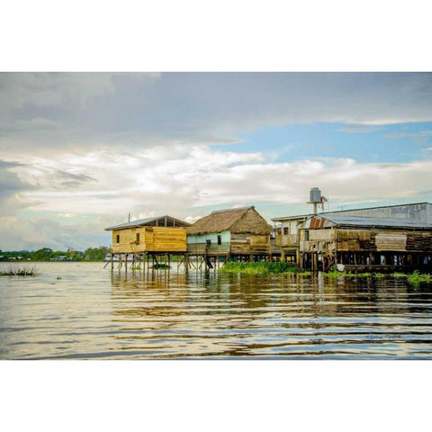 Amazon Beach House II Gold Ornate Wood Framed Art Print with Double Matting by Murdock, Ramona