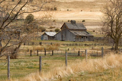 Roadside Barn Black Ornate Wood Framed Art Print with Double Matting by Murdock, Ramona