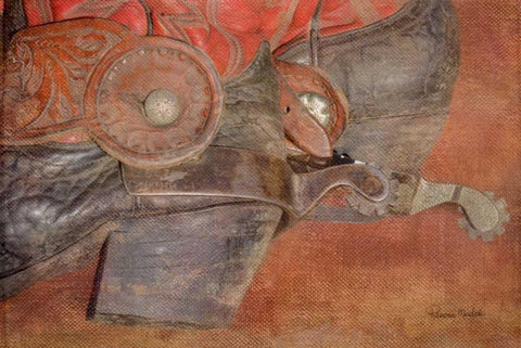 Spurs White Modern Wood Framed Art Print with Double Matting by Murdock, Ramona