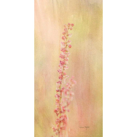 Wildflower Black Modern Wood Framed Art Print with Double Matting by Murdock, Ramona