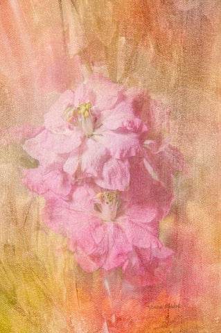 Snap Dragon White Modern Wood Framed Art Print with Double Matting by Murdock, Ramona