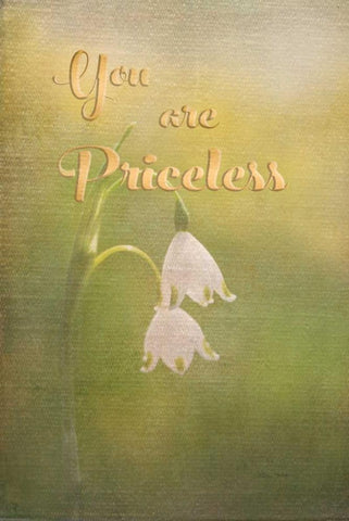 Priceless White Modern Wood Framed Art Print with Double Matting by Murdock, Ramona