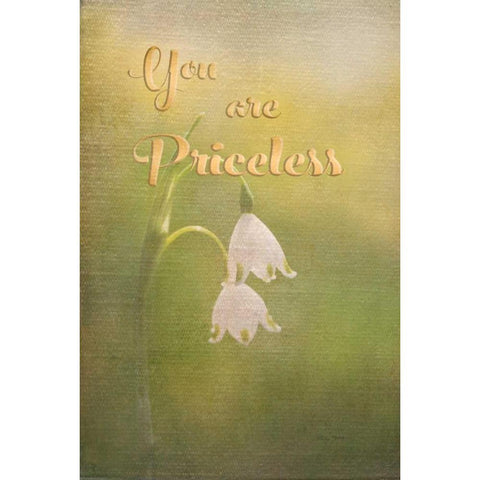 Priceless White Modern Wood Framed Art Print by Murdock, Ramona