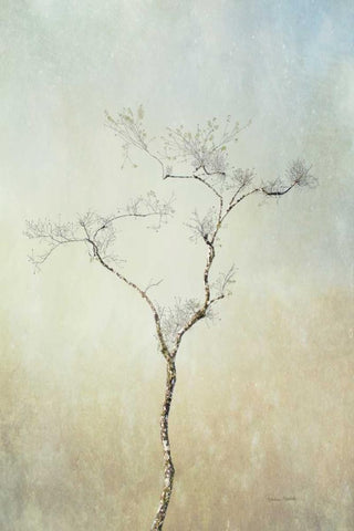 Tall Tree Black Ornate Wood Framed Art Print with Double Matting by Murdock, Ramona