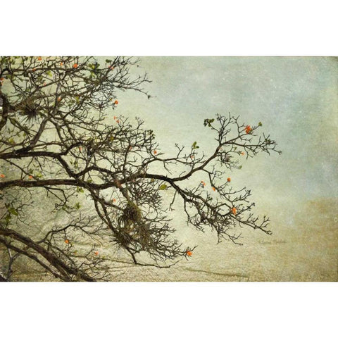 Branches Black Modern Wood Framed Art Print by Murdock, Ramona