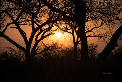 Africa Sunset White Modern Wood Framed Art Print with Double Matting by Murdock, Ramona