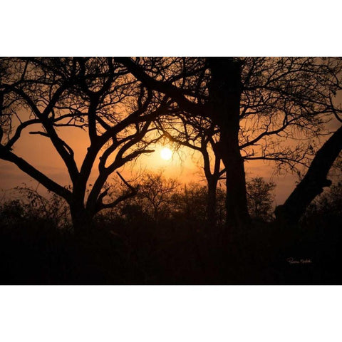 Africa Sunset Black Modern Wood Framed Art Print by Murdock, Ramona
