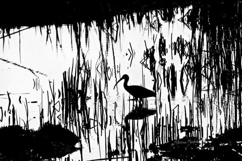 Tranquility White Modern Wood Framed Art Print with Double Matting by Murdock, Ramona