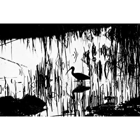 Tranquility Black Modern Wood Framed Art Print by Murdock, Ramona